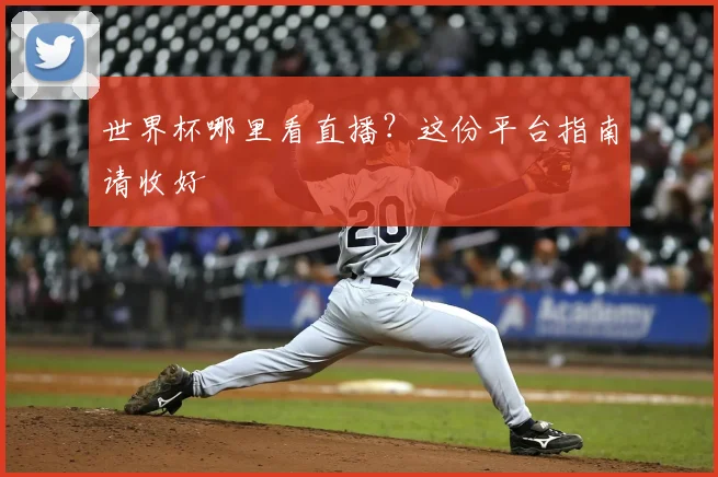 世界杯哪里看直播?这份平台指南请收好