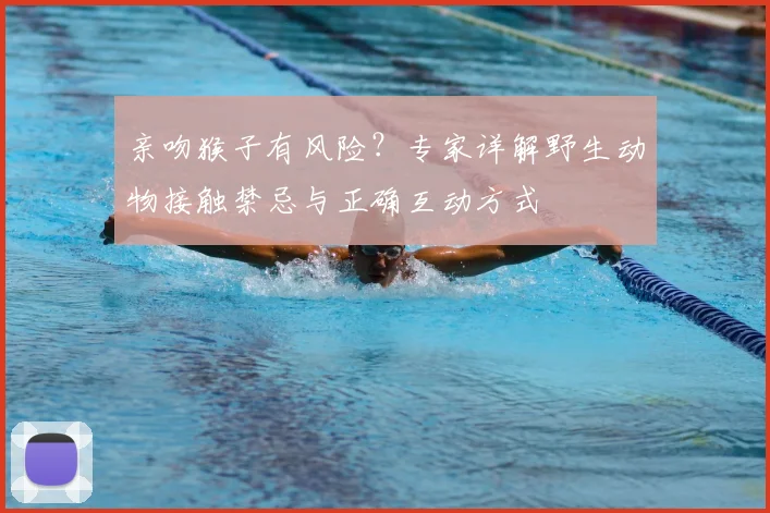 亲吻猴子有风险？专家详解野生动物接触禁忌与正确互动方式