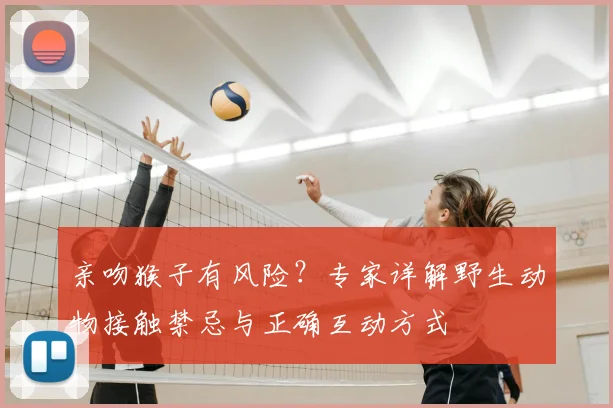 亲吻猴子有风险？专家详解野生动物接触禁忌与正确互动方式
