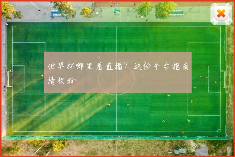 世界杯哪里看直播?这份平台指南请收好